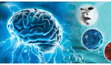 Grow New Brain Cells